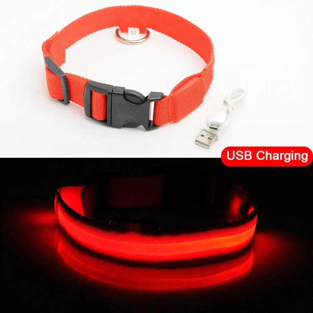 Led Dog Collar Anti-Lost Collar Anti Spier