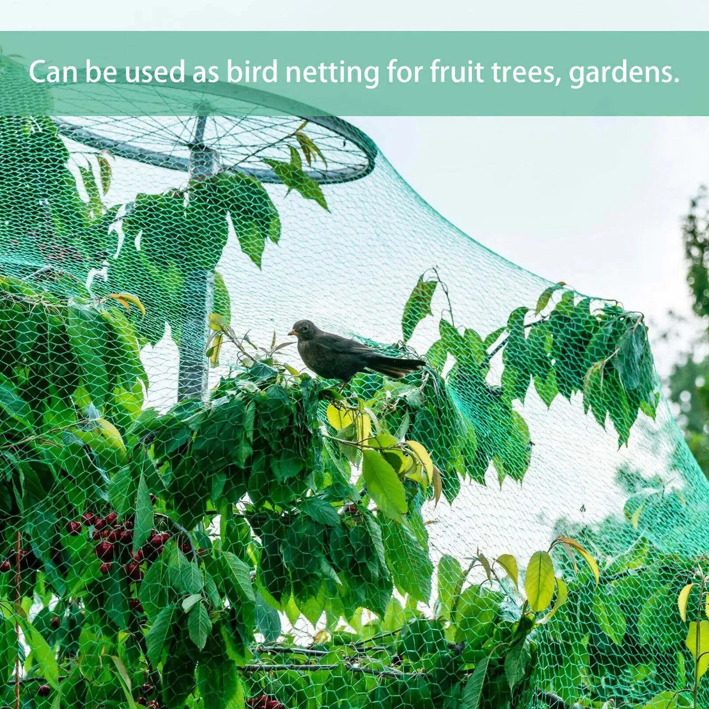 33FT Anti Bird Netting Pond Net Protection Tree Crops Plants Fruits Garden Mesh Anti Spier