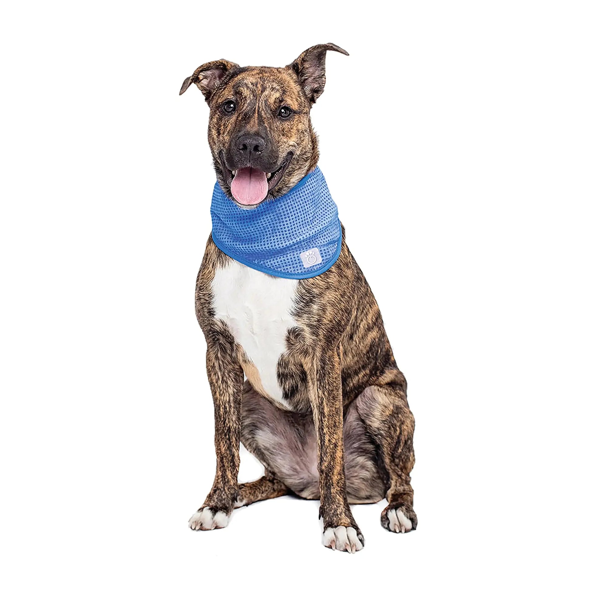 Dog Cooling Bandana Anti Spier