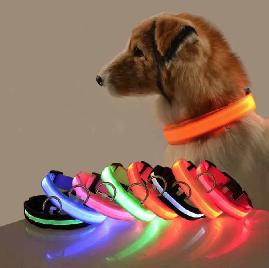 LED Safety Dog Collar