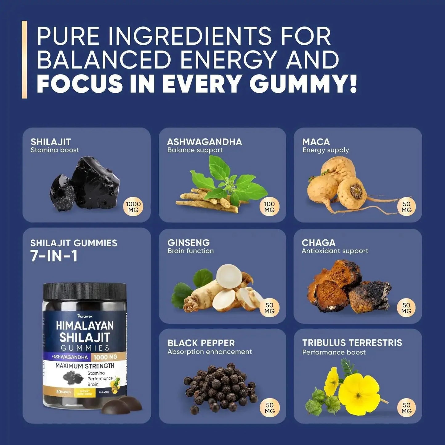 Shilajit Gummies 1000mg, Shilajit Gummies for Men and Women, Energy, Immunity Anti Spier