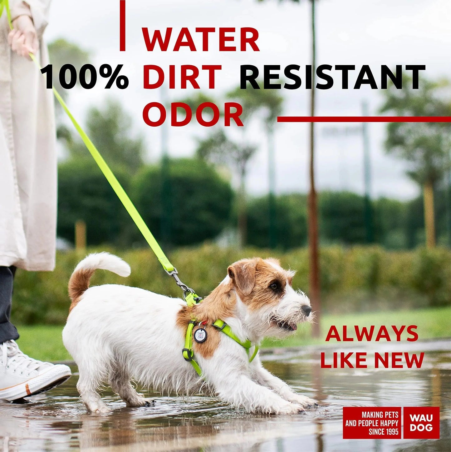 Green Waterproof Dog Harness Adjustable for Small Dogs S Size 1622 inch Anti Spier