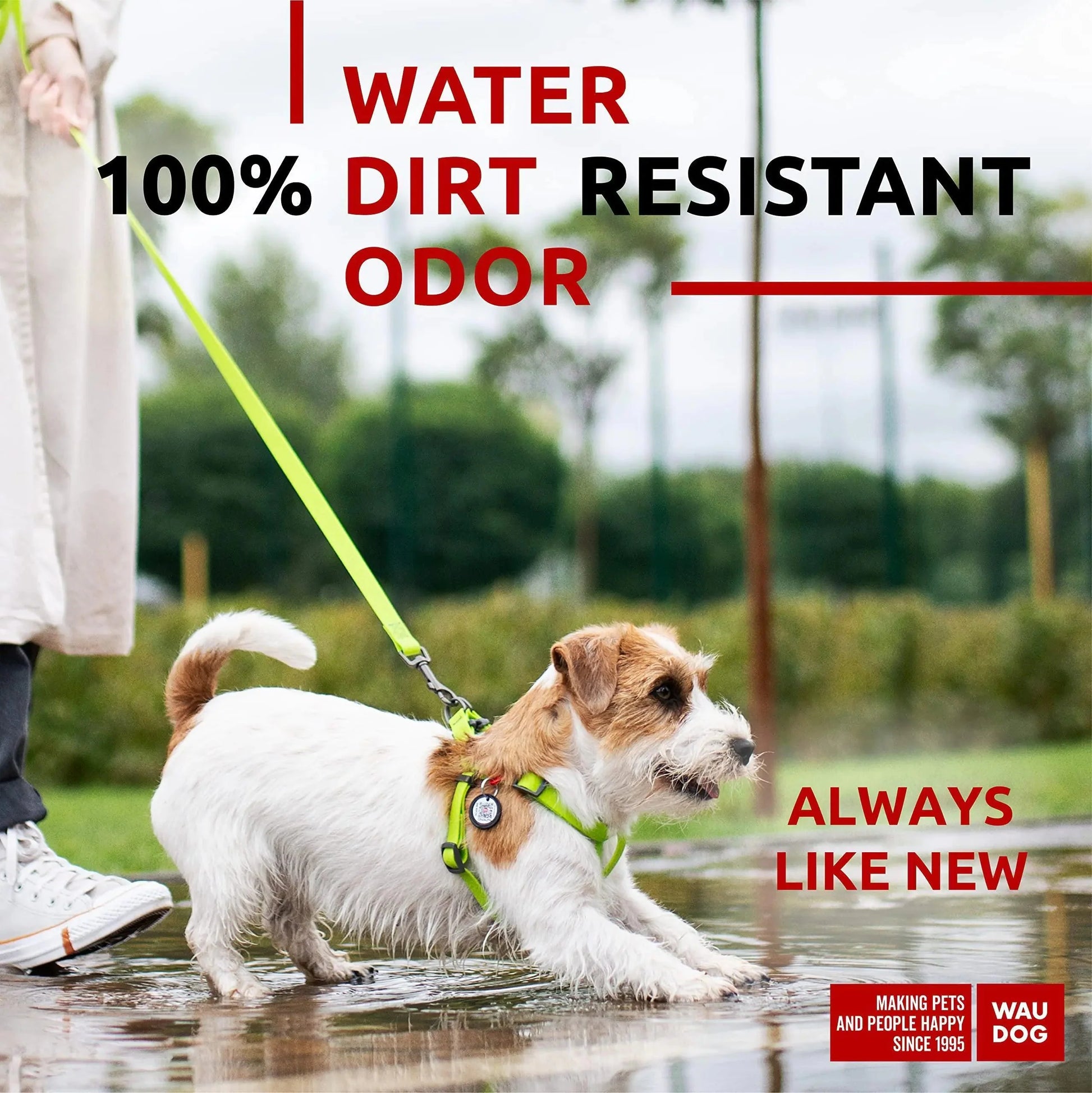 Green Waterproof Dog Harness Adjustable for Small Dogs S Size 1622 inch Anti Spier