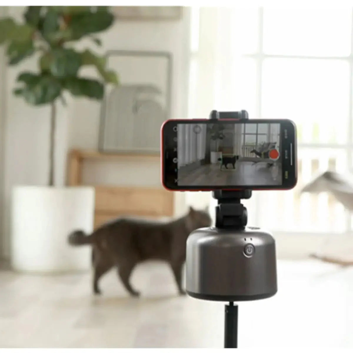 Smart Selfie Remote Auto Stand For Video And Photography Anti Spier