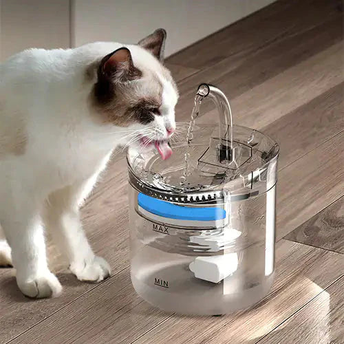 Drinking Bowl Auto Drinking Filter for Pets Anti Spier