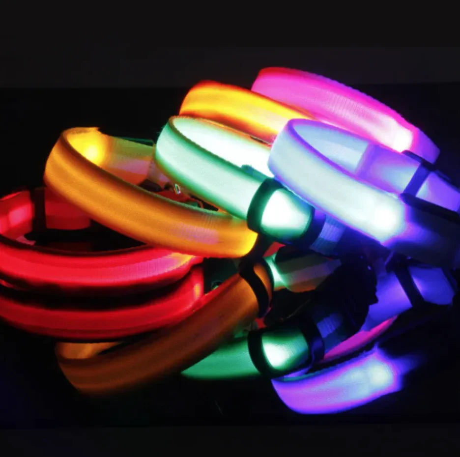 LED Safety Dog Collar