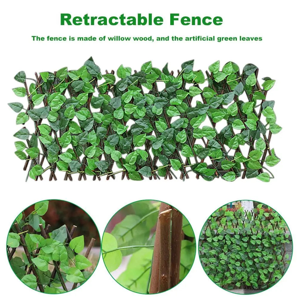 Expandable Ivy Privacy Fence
