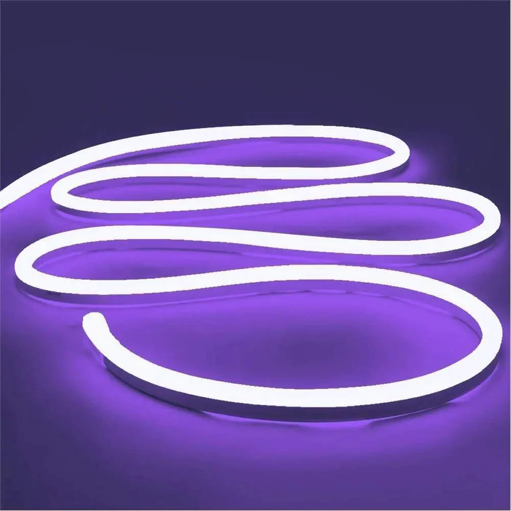 1M 2M 3M 5M 12V Flexible Sign Neon Lights Silicone Tube LED Strip Waterproof USA Anti Spier