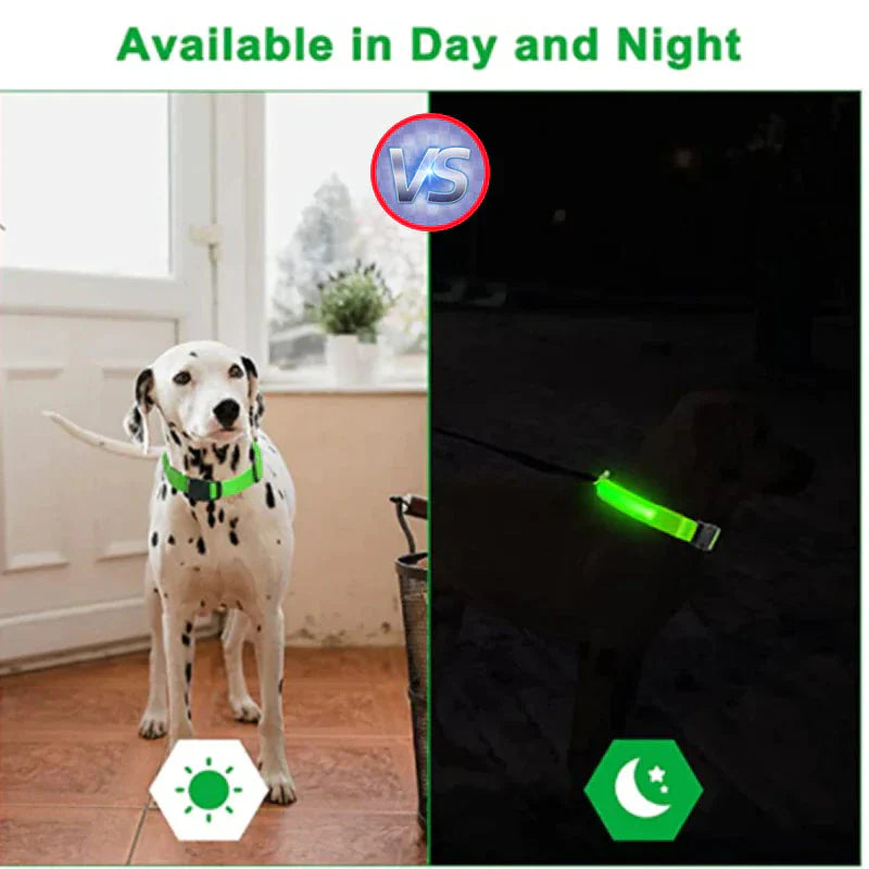 LED Adjustable Dog Collar Blinking Flashing Light Up Glow Pets Safety Waterproof Anti Spier