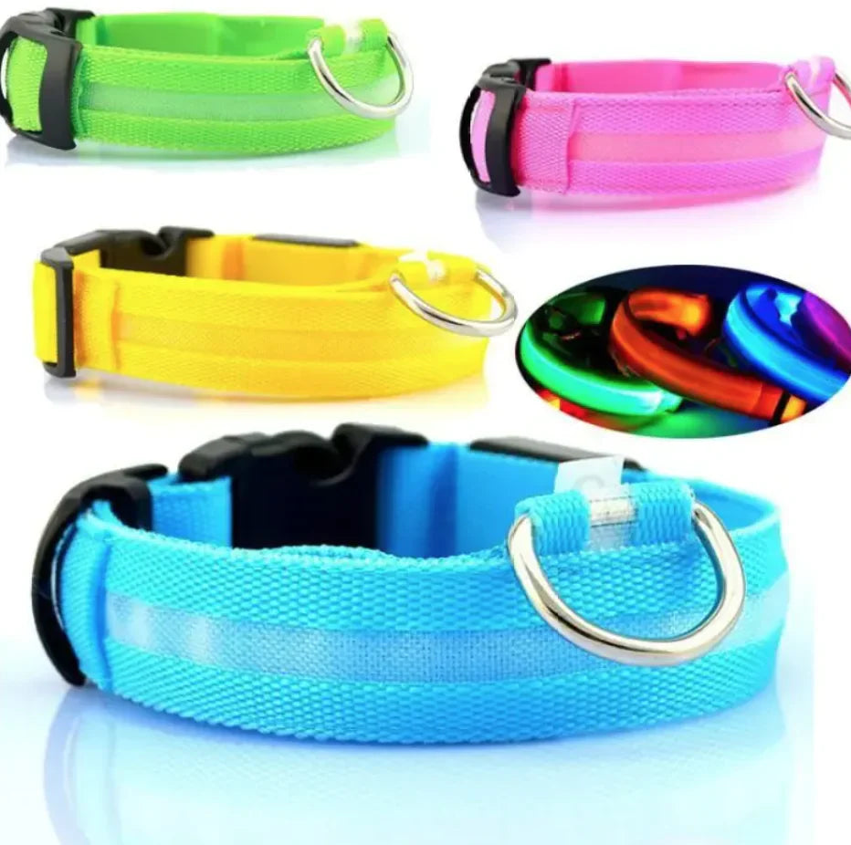 LED Safety Dog Collar