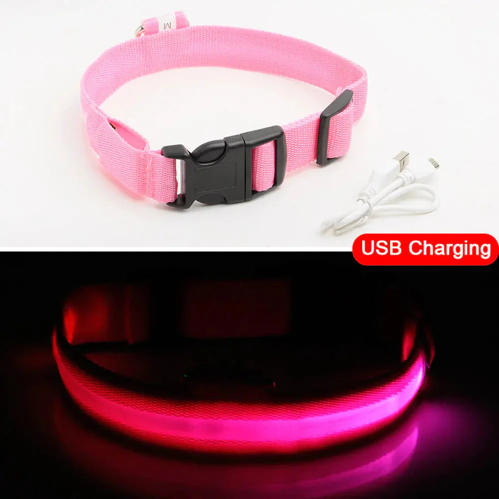 Led Dog Collar Anti-Lost Collar Anti Spier
