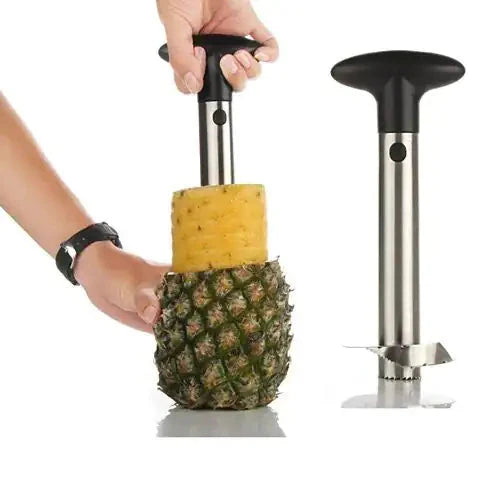 Pretty Prickly Pineapple Peeler The 4P Tool Anti Spier
