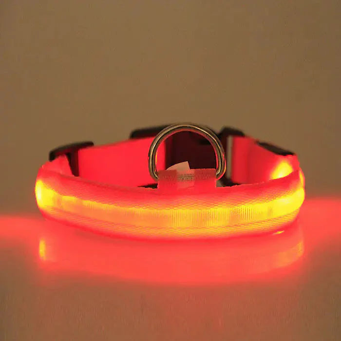 LED PET Safety Halo Style Collar Anti Spier
