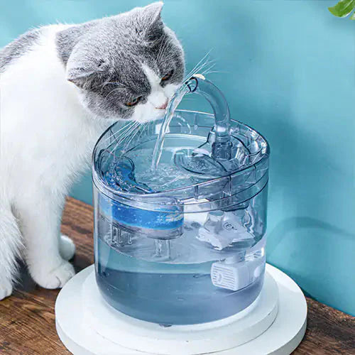 Drinking Bowl Auto Drinking Filter for Pets Anti Spier