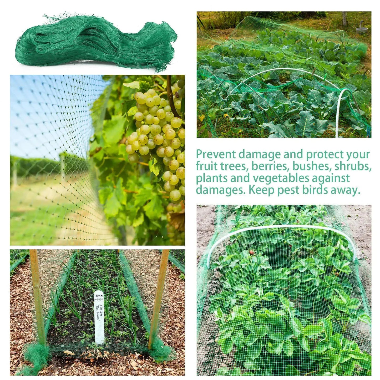 33FT Anti Bird Netting Pond Net Protection Tree Crops Plants Fruits Garden Mesh Anti Spier