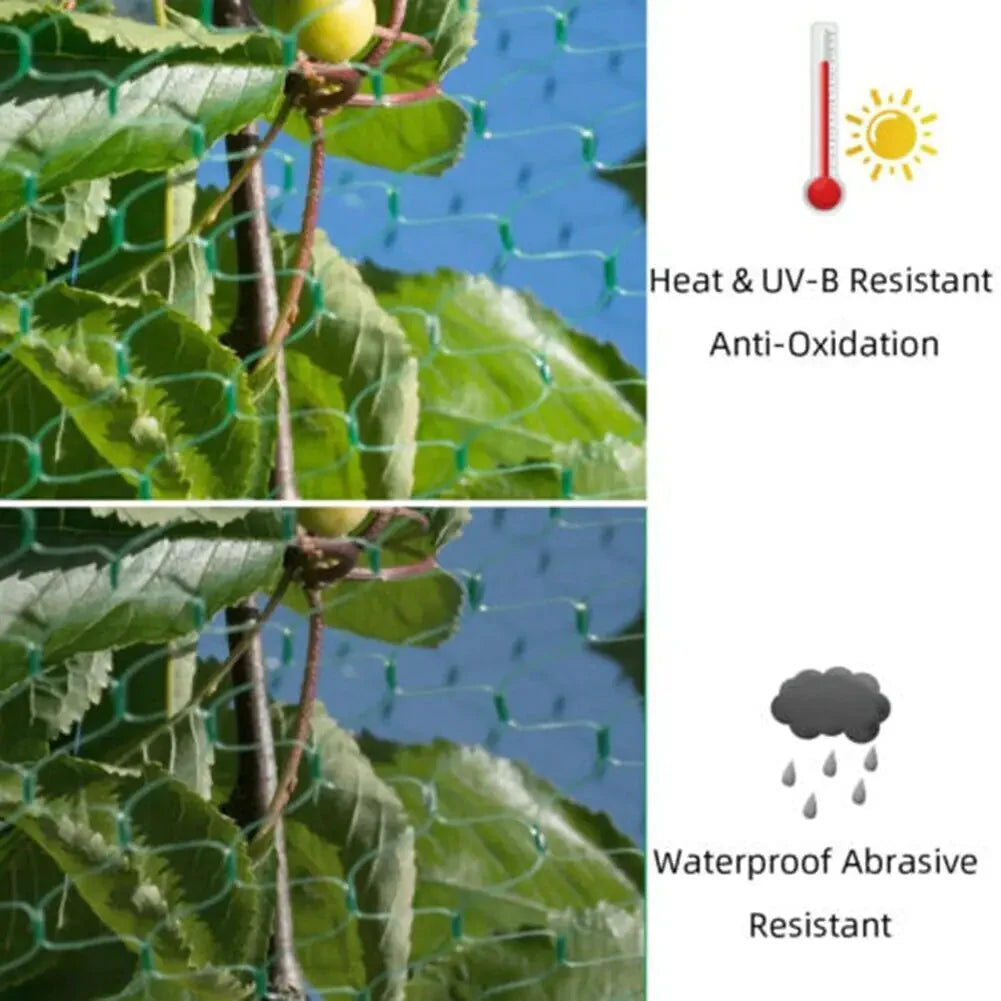33FT Anti Bird Netting Pond Net Protection Tree Crops Plants Fruits Garden Mesh Anti Spier