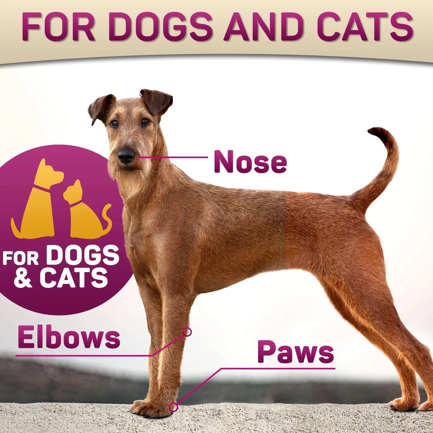 Natural Dog Paw Balm Dog Paw Protection for Hot Pavement Dog Paw Wax 2 oz Anti Spier