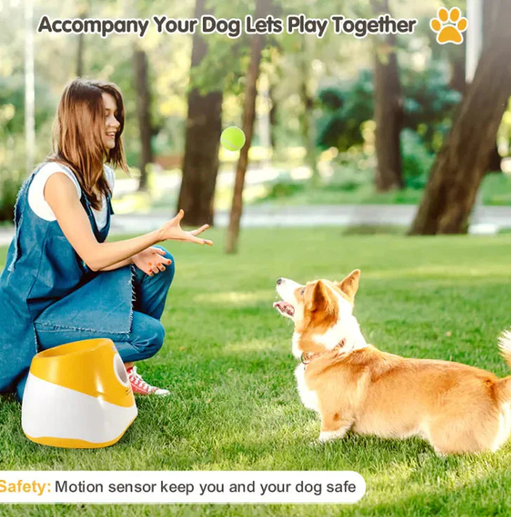 Automatic Dog Ball Thrower Anti Spier