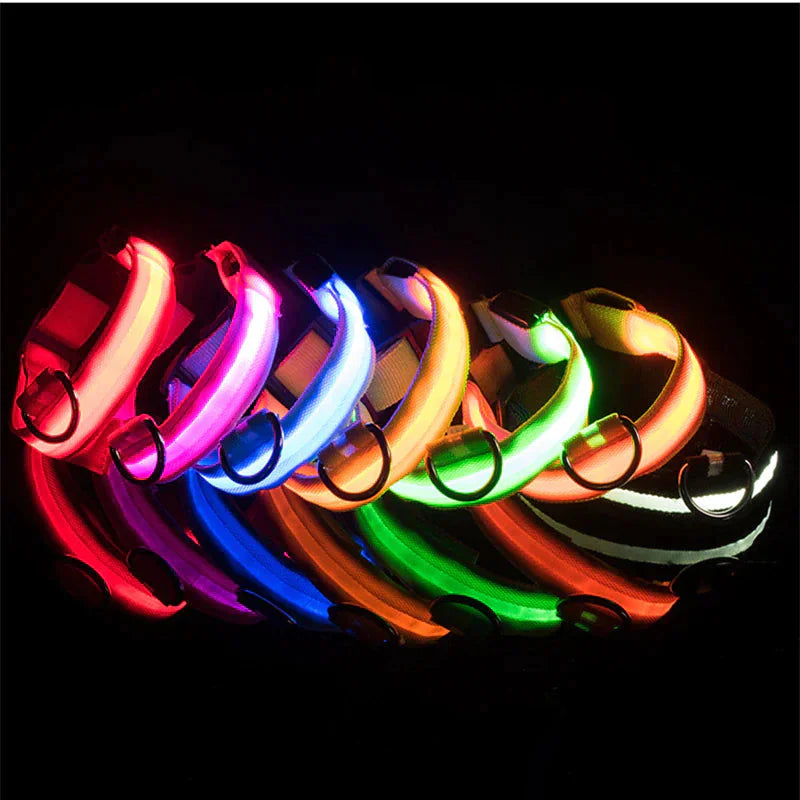LED Adjustable Dog Collar Blinking Flashing Light Up Glow Pets Safety Waterproof Anti Spier