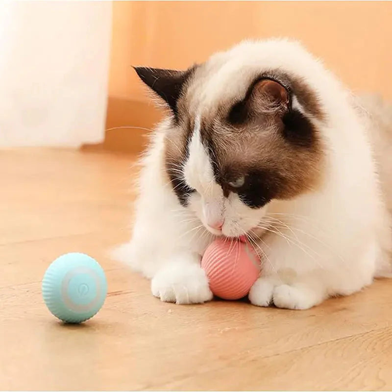 Electric Dog Toys Smart Puppy Ball Toys For Cat Small Dogs Funny Auto Rolling Ball Self-moving Puppy Games Toys Pet Accessories Anti Spier