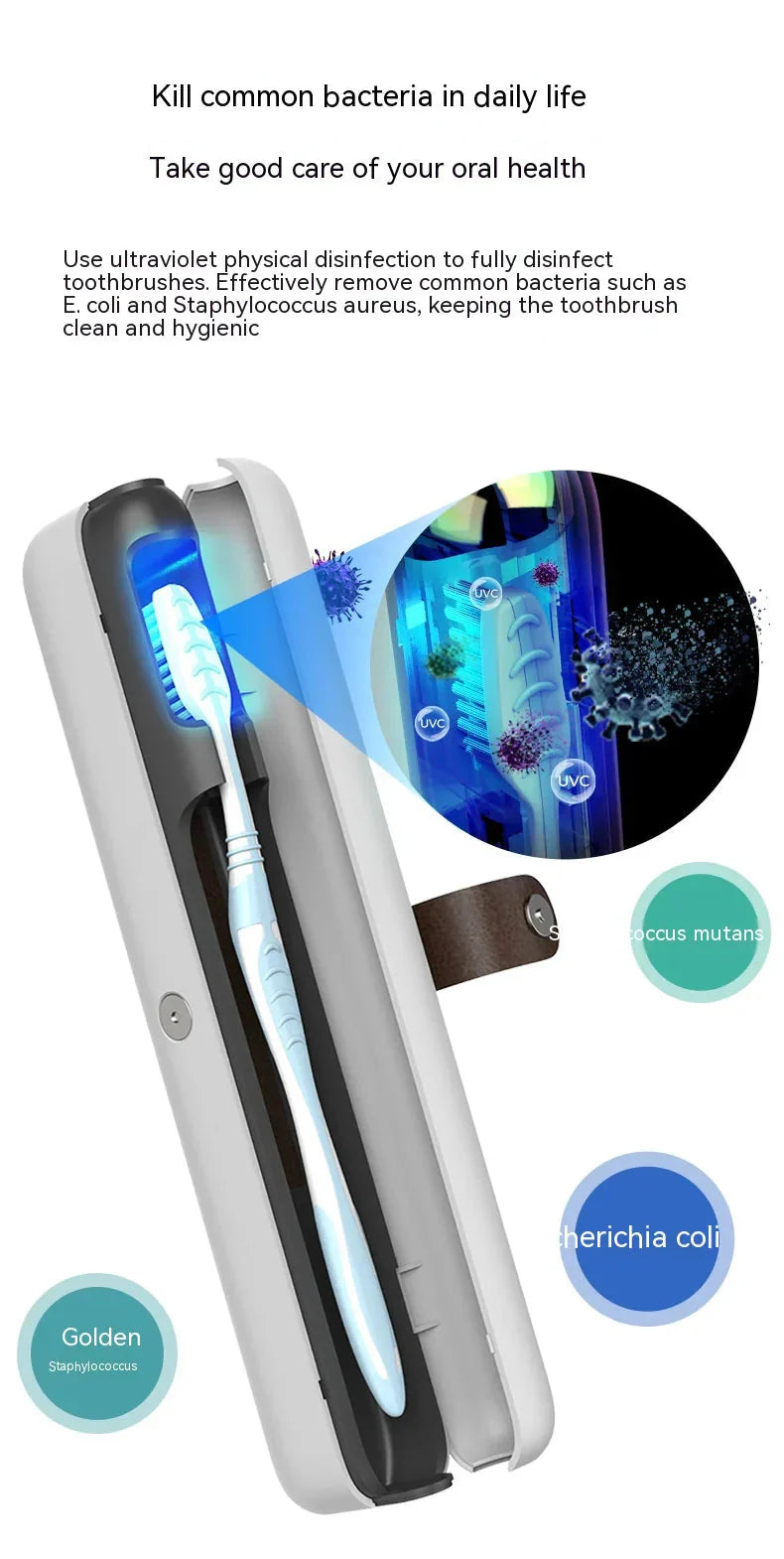 Portable Toothbrush Sterilizer Anti Spier
