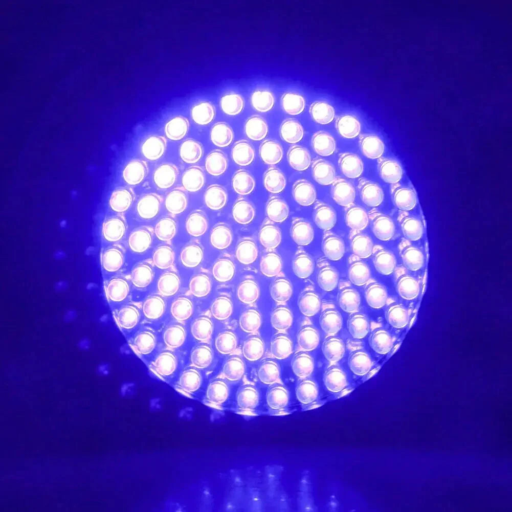 UV Ultraviolet Light 100 LED Flashlight BlackLight 395nM Inspection Lamp Torch Anti Spier