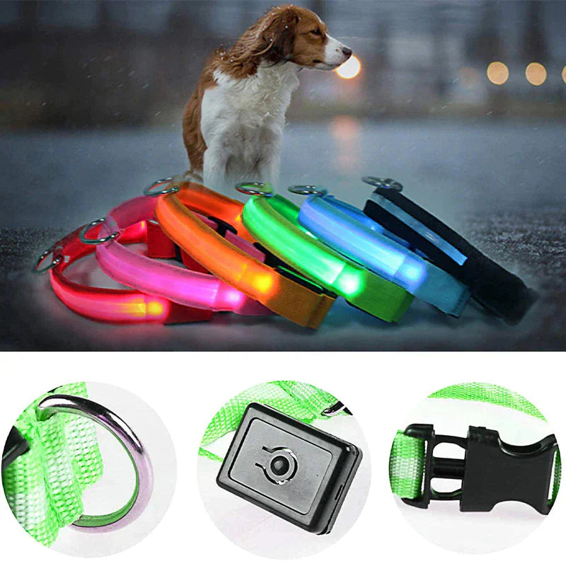 LED Adjustable Dog Collar Blinking Flashing Light Up Glow Pets Safety Waterproof Anti Spier