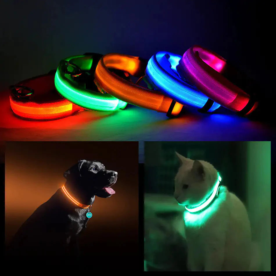 LED PET Safety Halo Style Collar Anti Spier