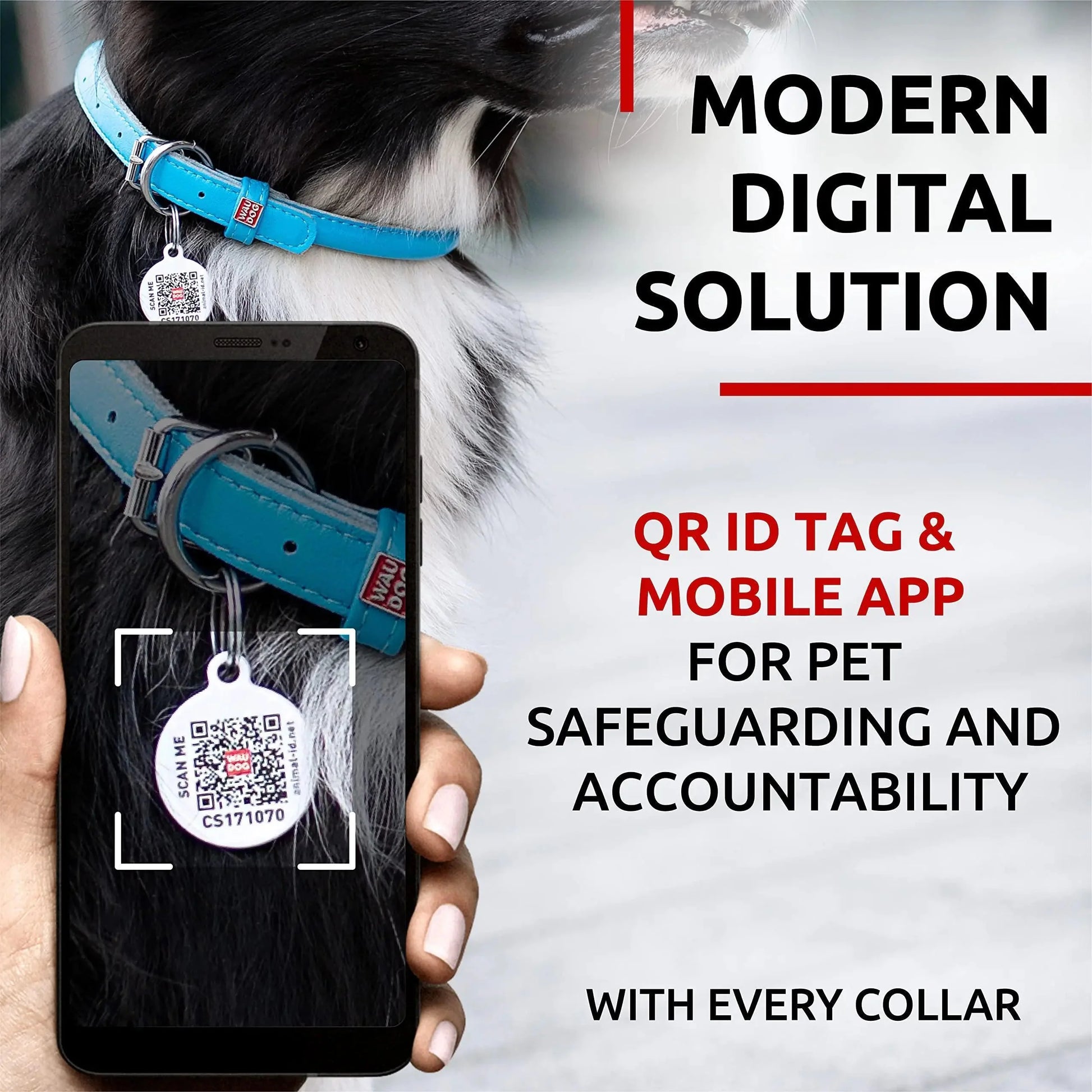 Ultra Soft Rolled Leather Dog Collar for Small Dogs   Soft Padded Dog Collars Anti Spier