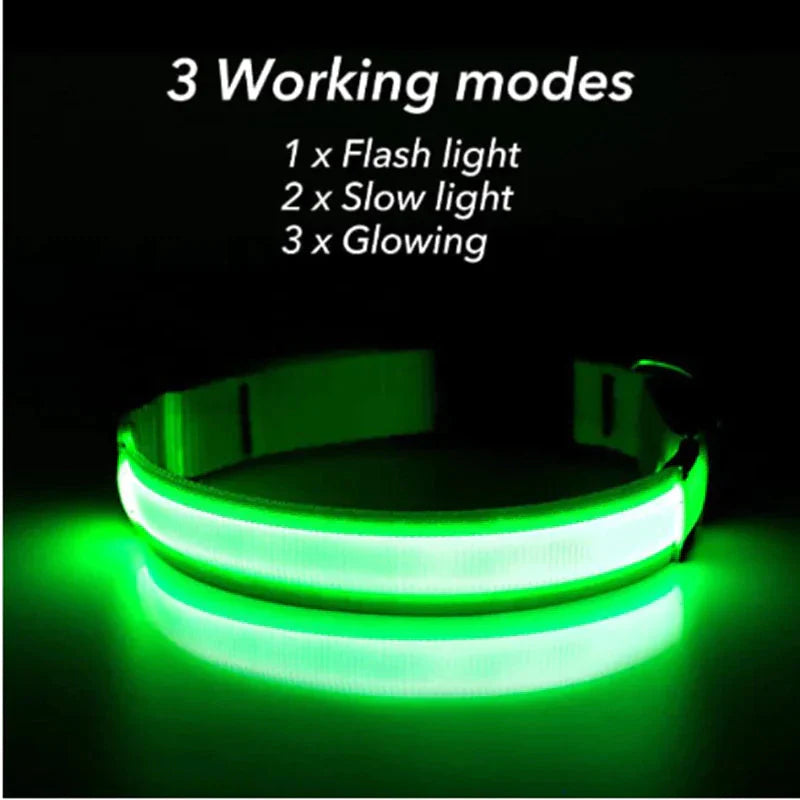 LED Adjustable Dog Collar Blinking Flashing Light Up Glow Pets Safety Waterproof Anti Spier