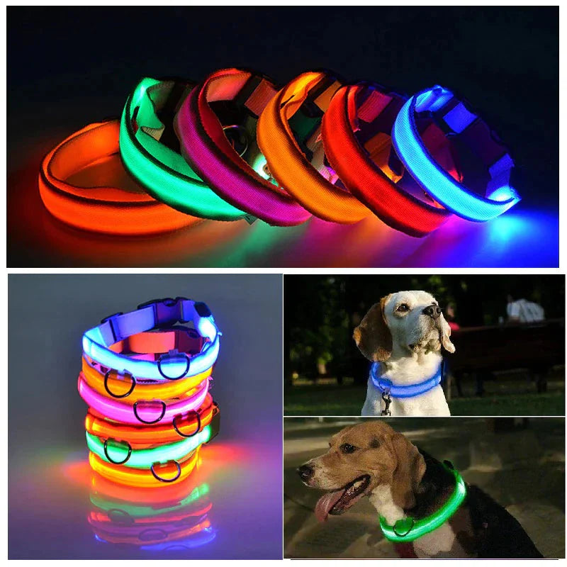 LED Adjustable Dog Collar Blinking Flashing Light Up Glow Pets Safety Waterproof Anti Spier