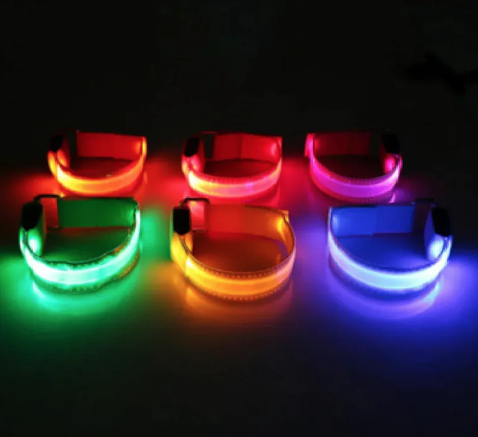 LED Safety Dog Collar