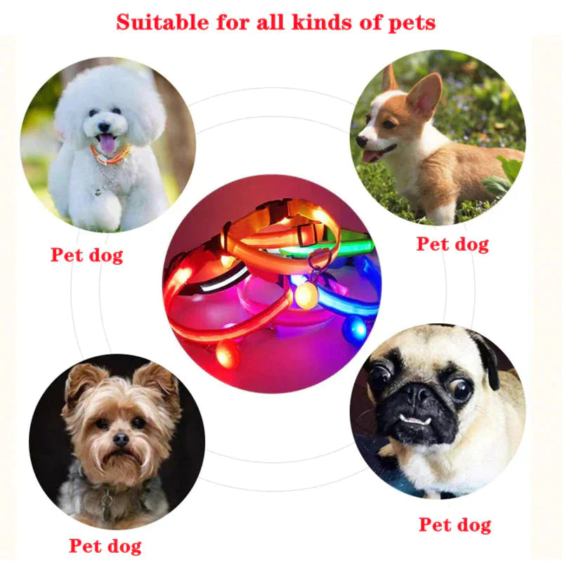LED Adjustable Dog Collar Blinking Flashing Light Up Glow Pets Safety Waterproof Anti Spier