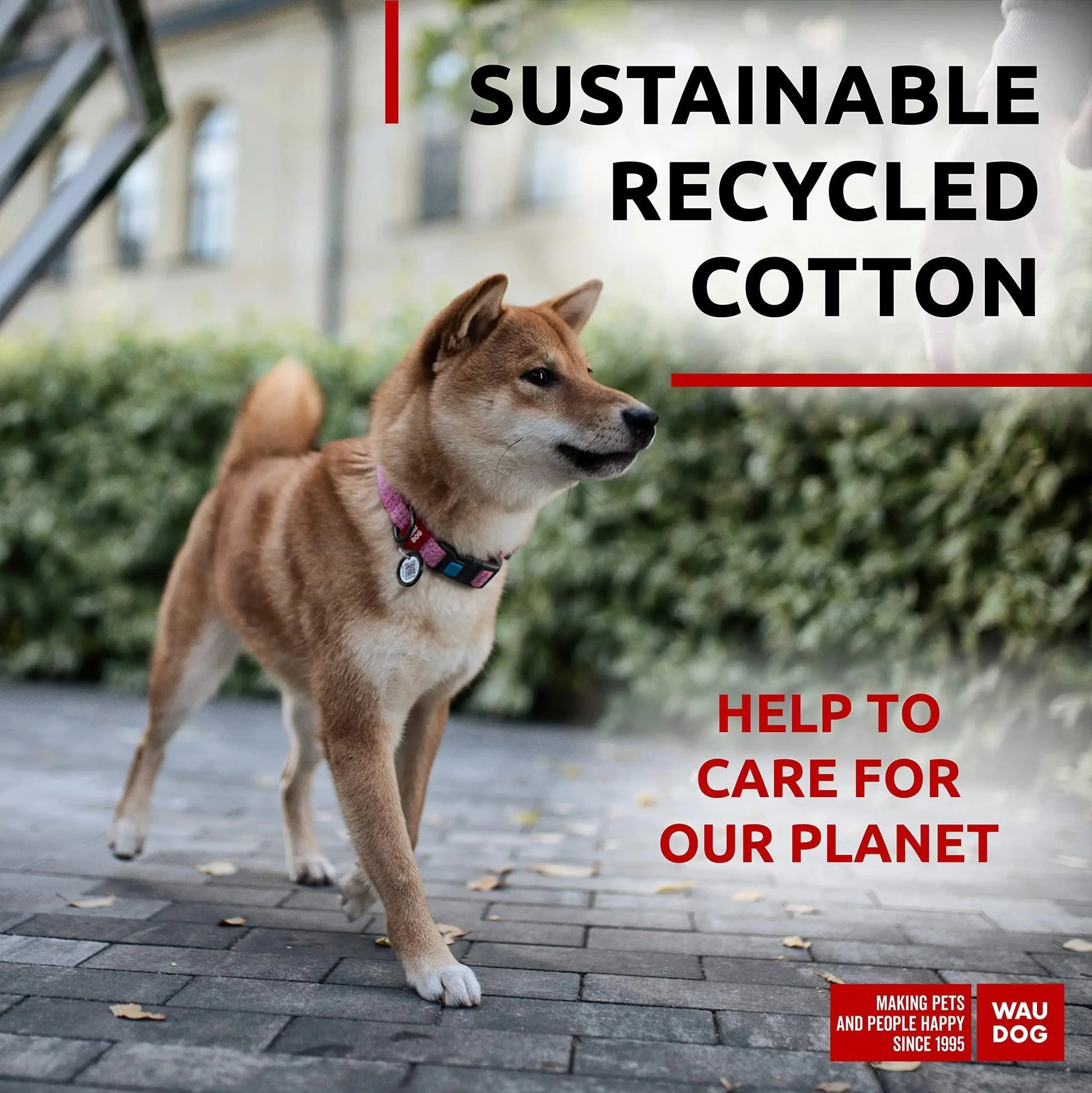 Reflective Cotton Dog Collar Eco Friendly Alt to Nylon Collar 10  16 in Neck x Anti Spier