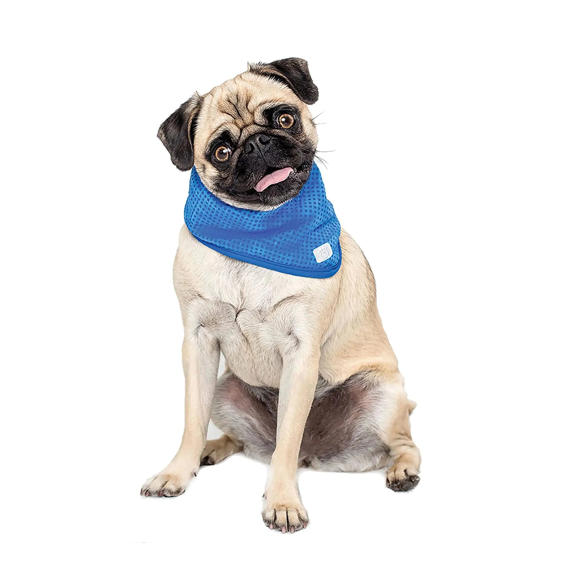 Dog Cooling Bandana Anti Spier