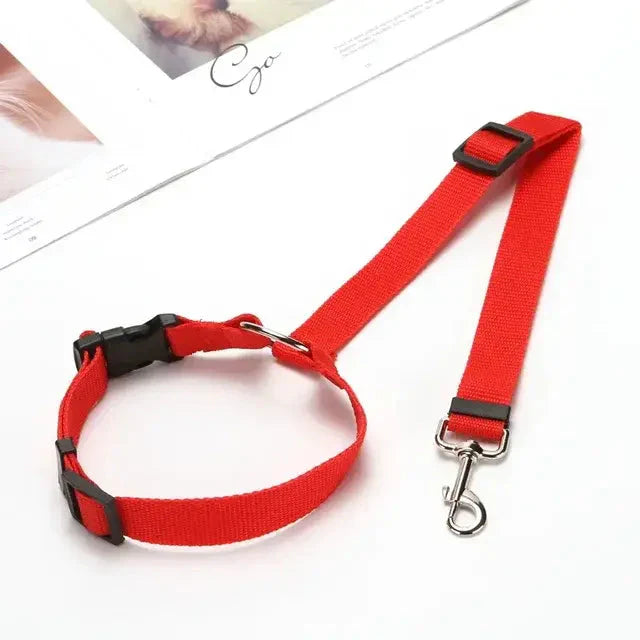 Pet Car Seat Belt & Harness Safety And Style Anti Spier