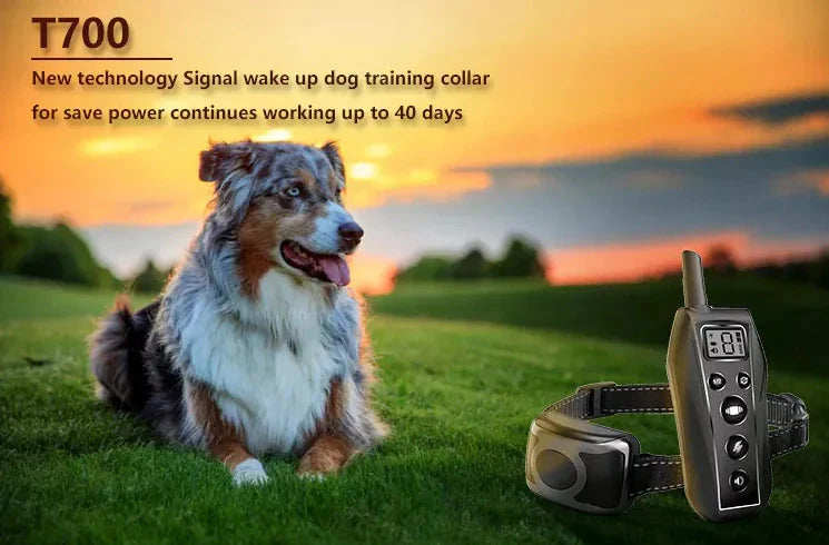 650 YD Remote Dog Training Shock Collar Waterproof for Small Medium Large Dogs Anti Spier