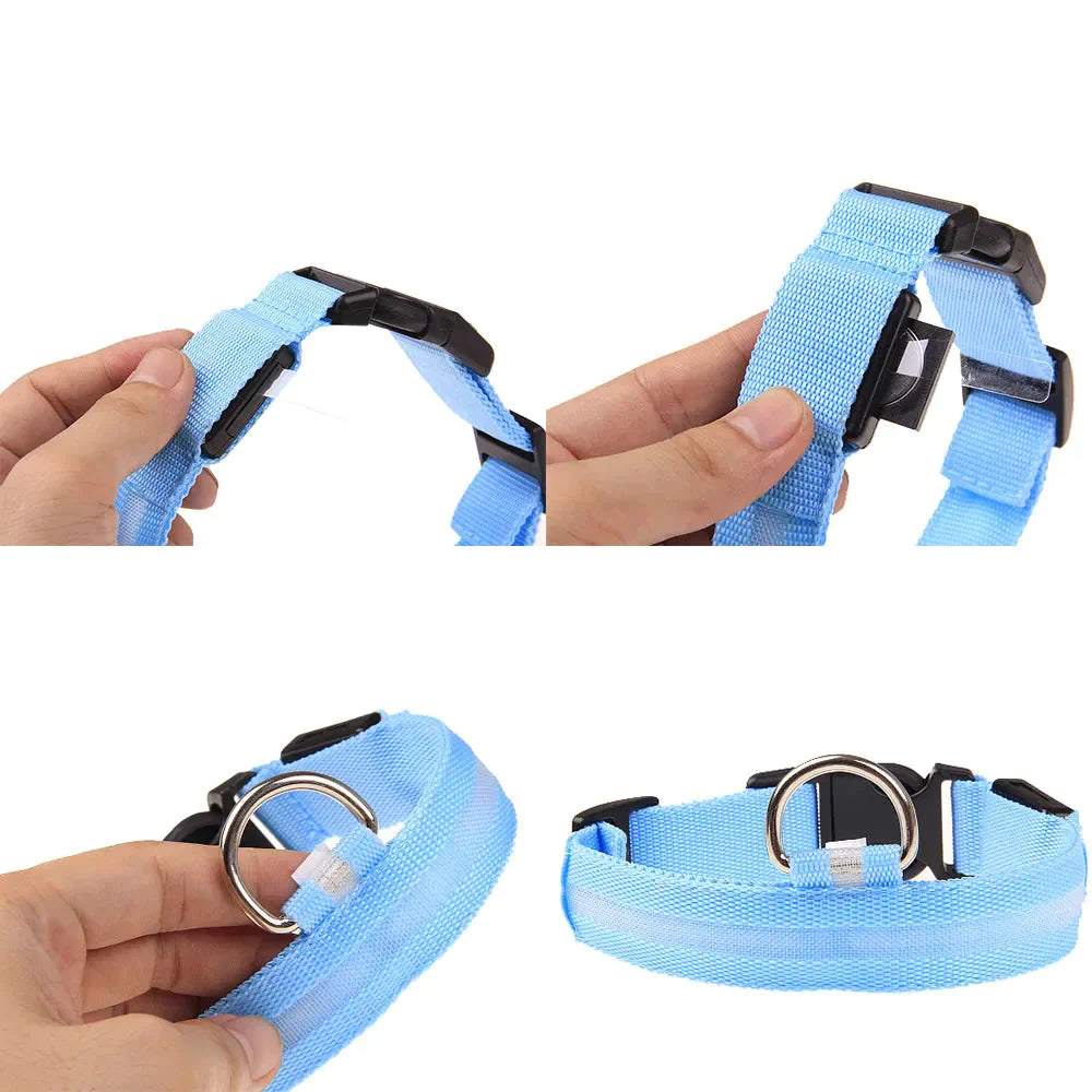 LED Adjustable Dog Collar Blinking Flashing Light Up Glow Pets Safety Waterproof Anti Spier