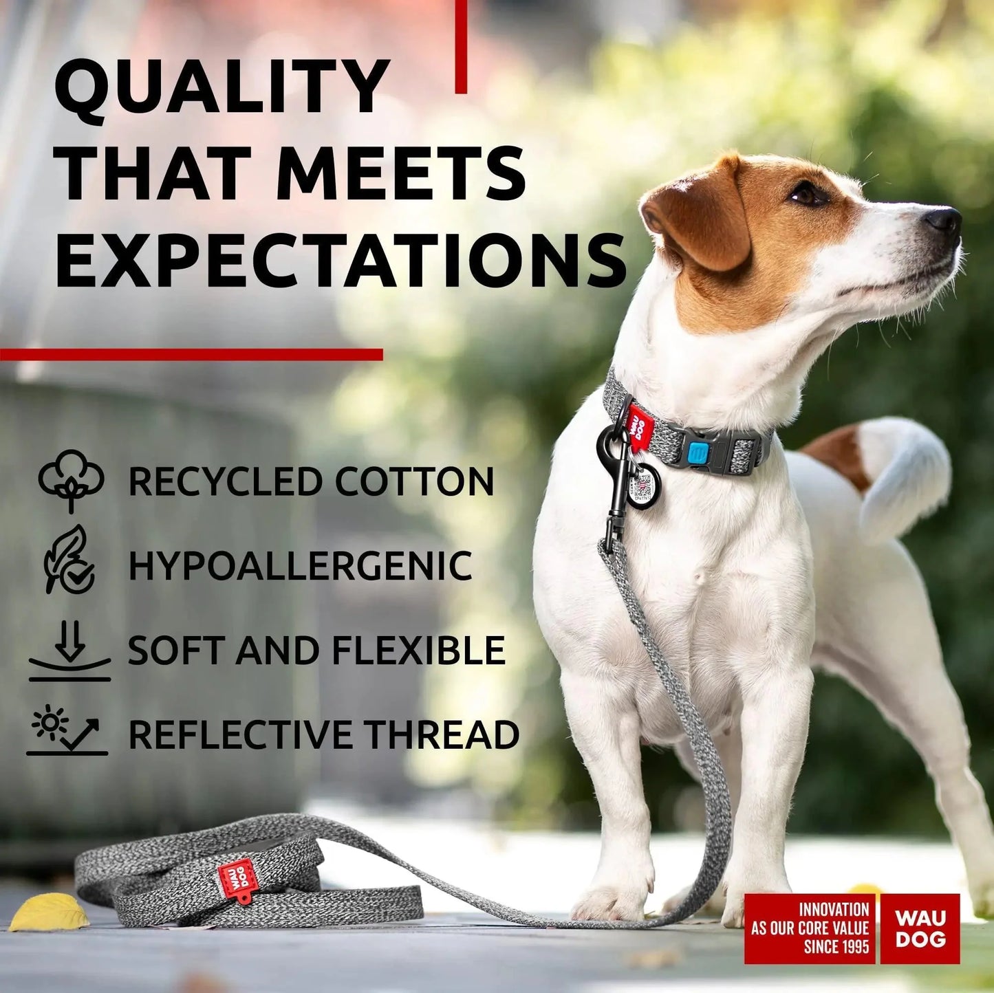 Recycled Cotton Dog Leash 3/5 inch x 6 Ft Eco Friendly for Small Medium Large Anti Spier