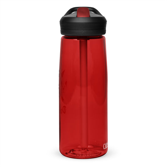 Sports water bottle