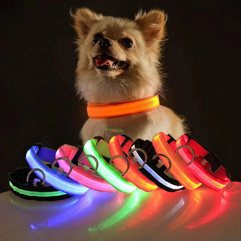 LED Adjustable Dog Collar Blinking Flashing Light Up Glow Pets Safety Waterproof Anti Spier