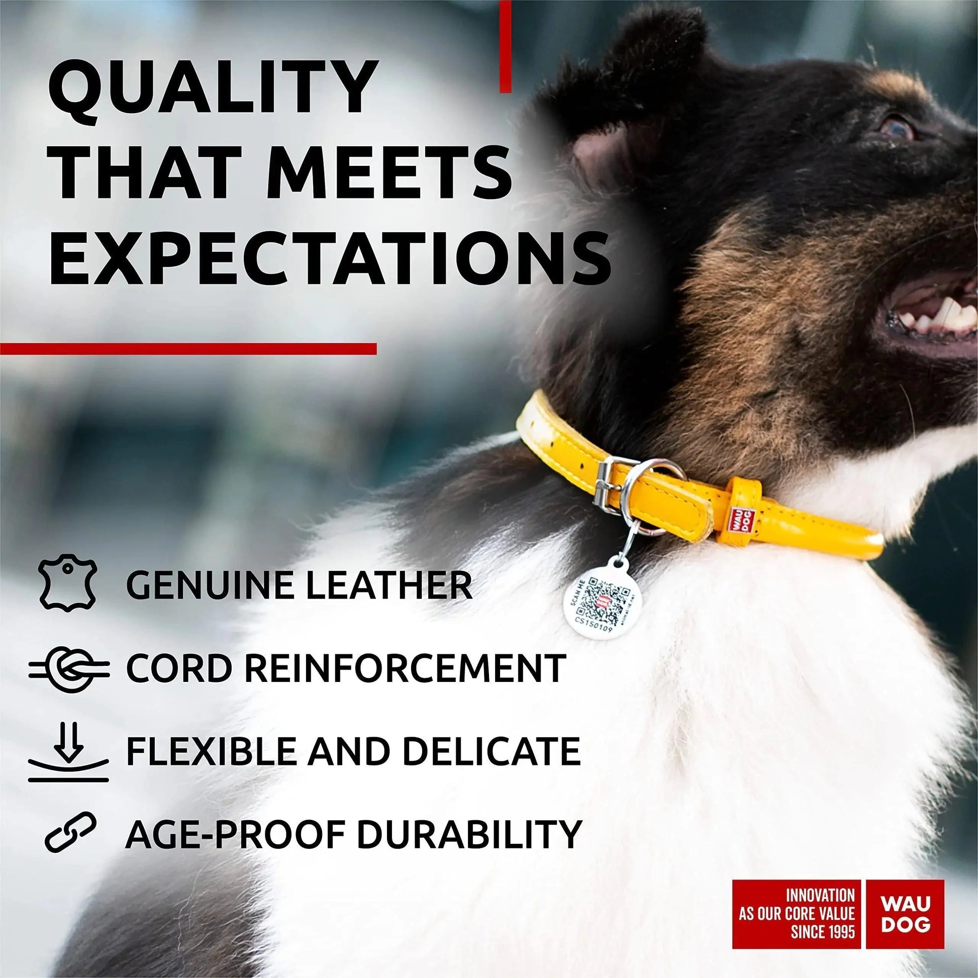 Ultra Soft Rolled Leather Dog Collar 2124 inch Neck Yellow Padded Dog Collars Anti Spier