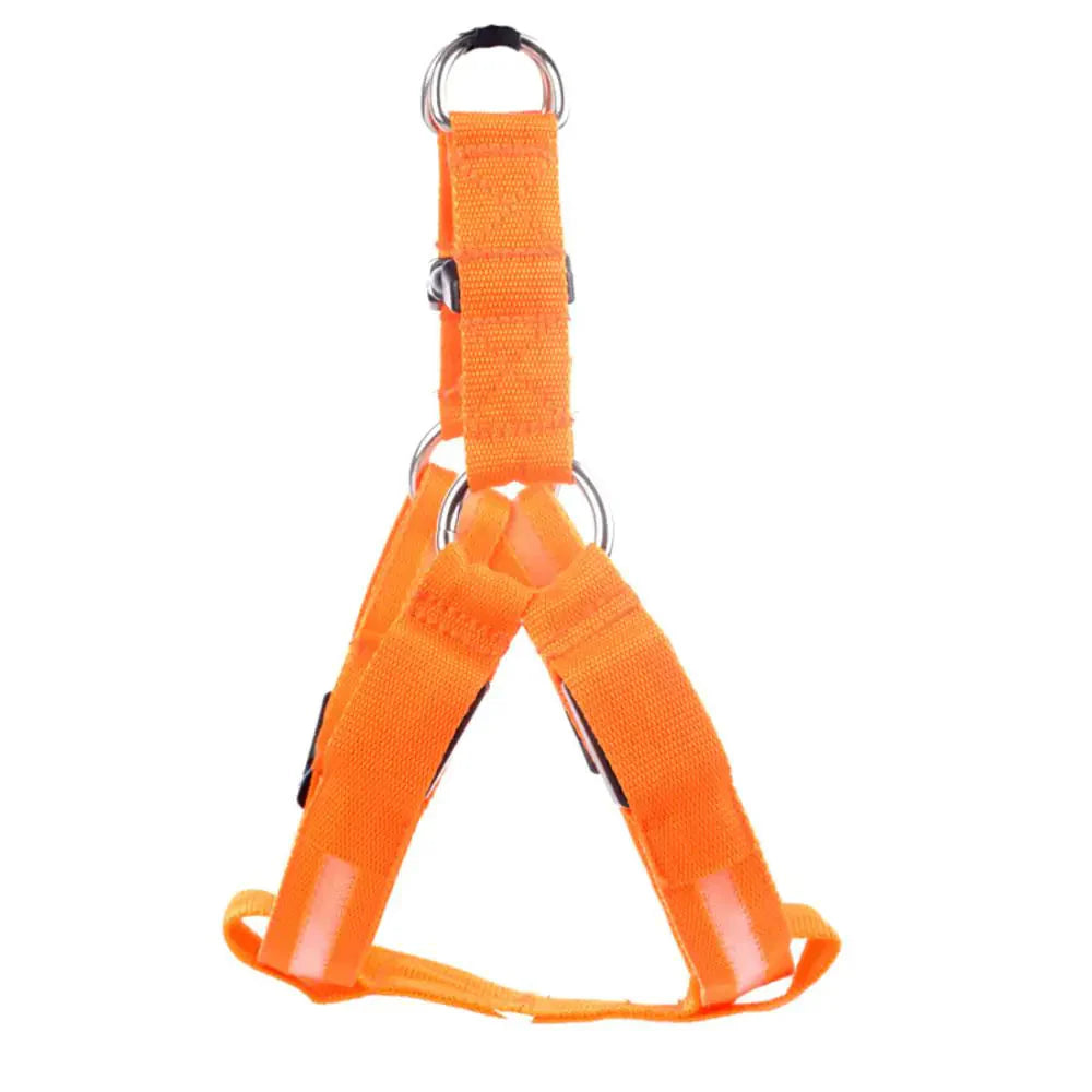 Nylon Pet Safety LED Harness Anti Spier