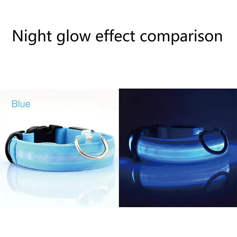 LED Adjustable Dog Collar Blinking Flashing Light Up Glow Pets Safety Waterproof Anti Spier