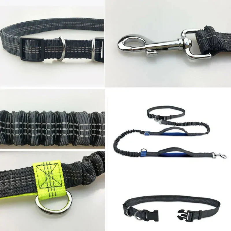 Reflective Rope Pet Leashes Anti Spier