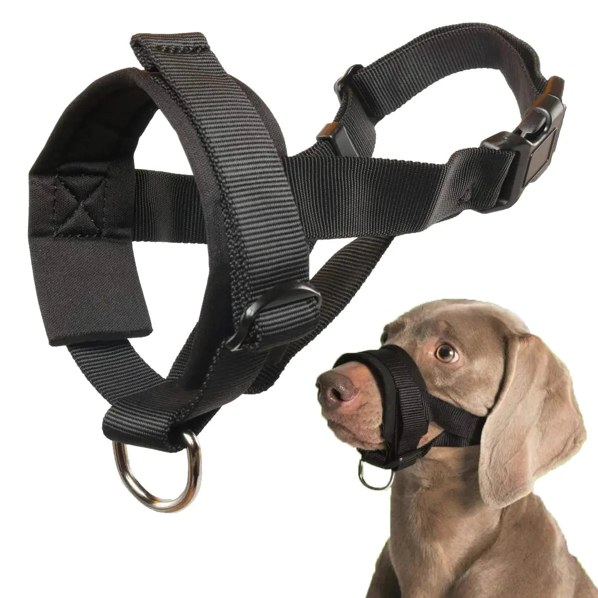 Dog Muzzle for Small Medium Large Dogs Anti Biting Barking Chewing with Soft Padding and Adjustable Loop Anti Spier