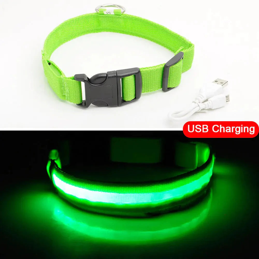 Led Dog Collar Anti-Lost Collar Anti Spier