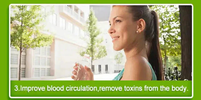 Bamboo Vinegar Detox Foot Patch - 20 Pack Anti Spier