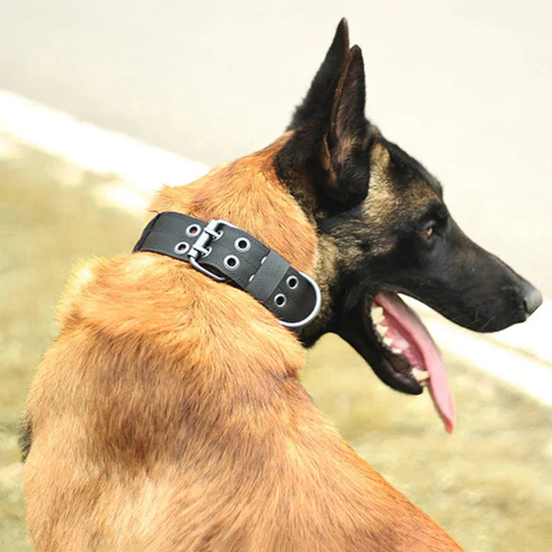 2" Wide Tactical Heavy Duty Nylon Large Dog Collar K9 Military With Metal Buckle Anti Spier