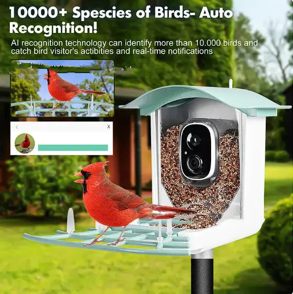 Solar-Powered Waterproof Bird Feeder with Camera Anti Spier